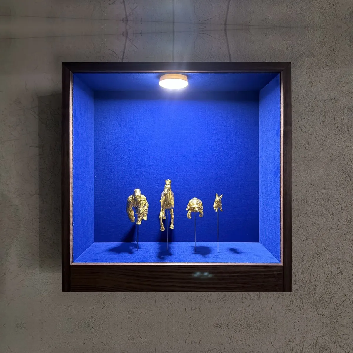 Tierchenphilosophie, HR-PC-02, in der Vitrine