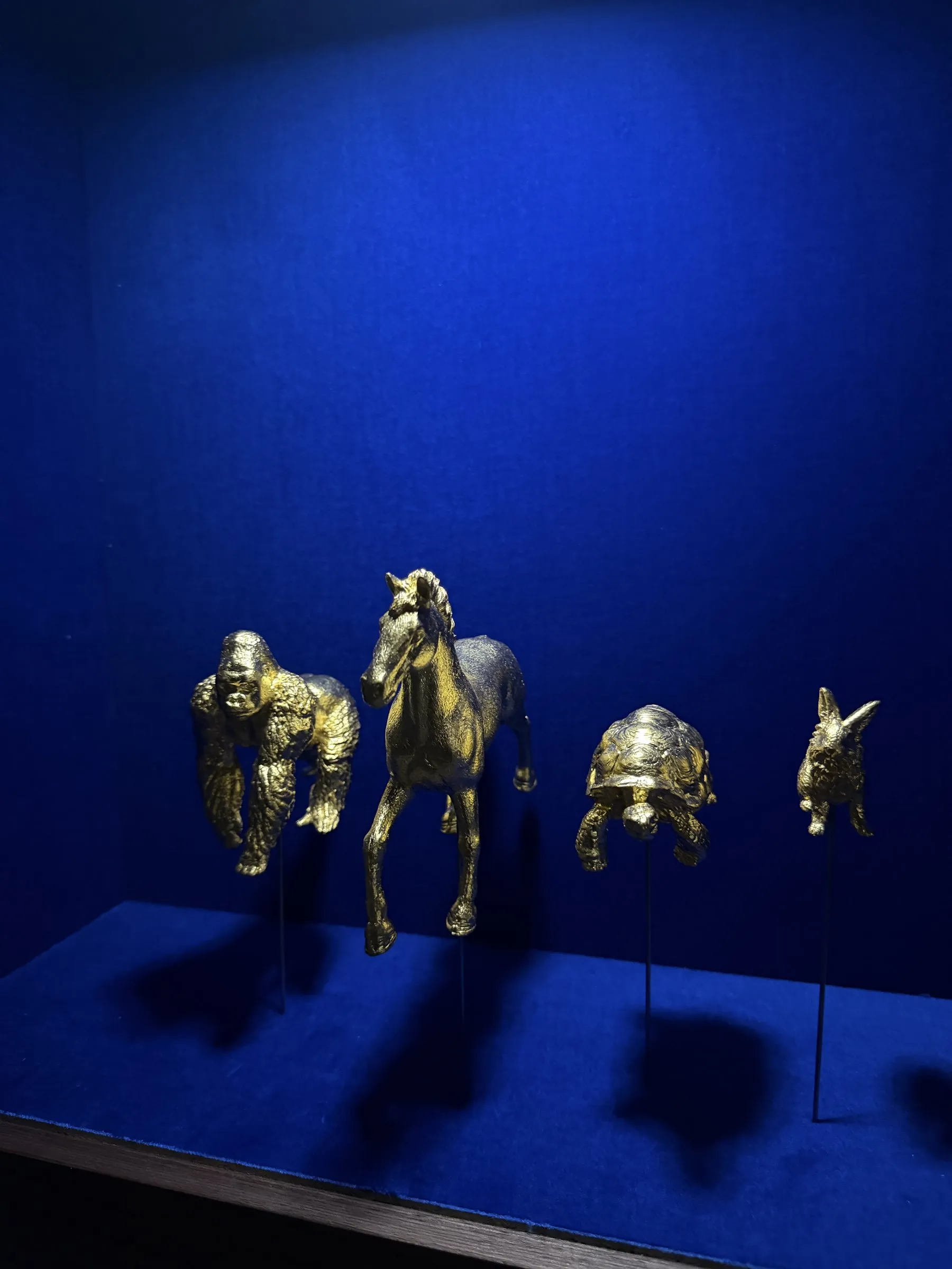 Die vier goldenen Tiere frontal