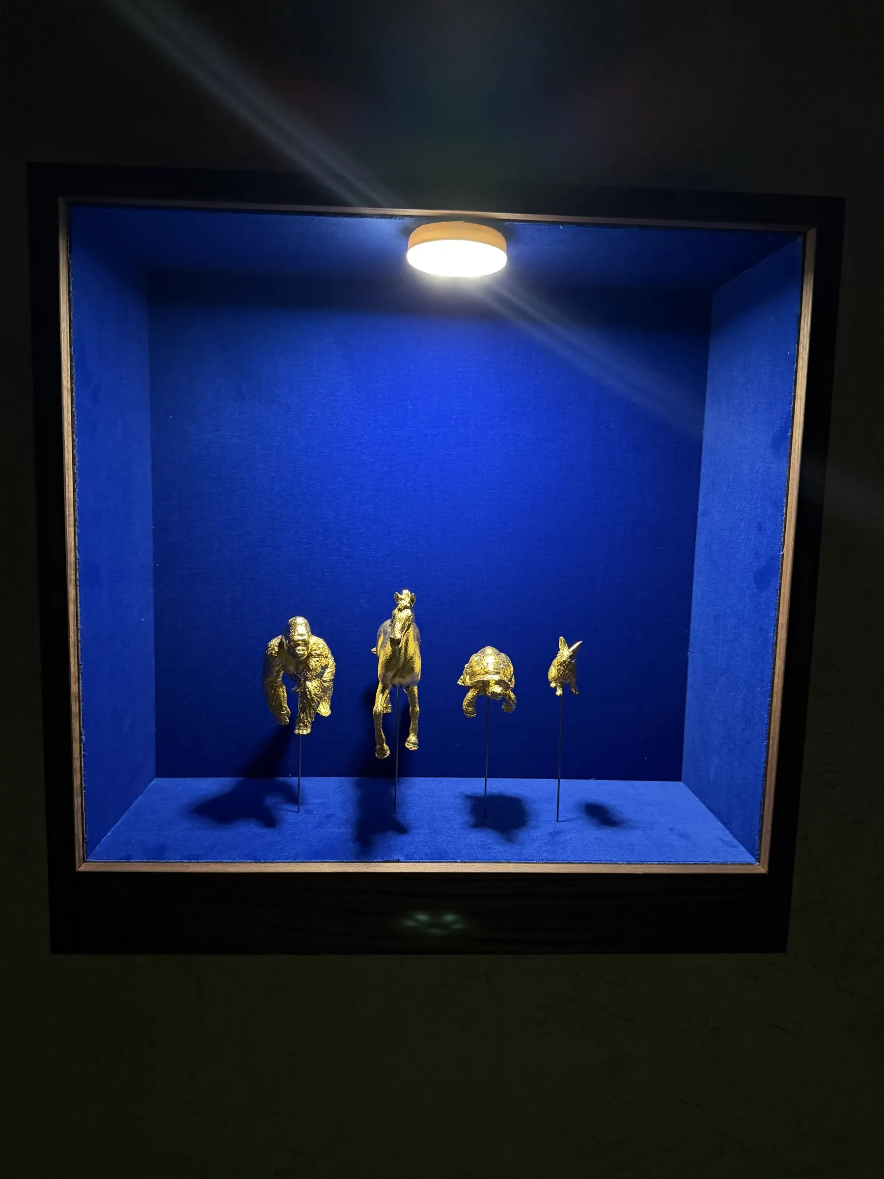 Beleuchtete Vitrine im dunklen Raum