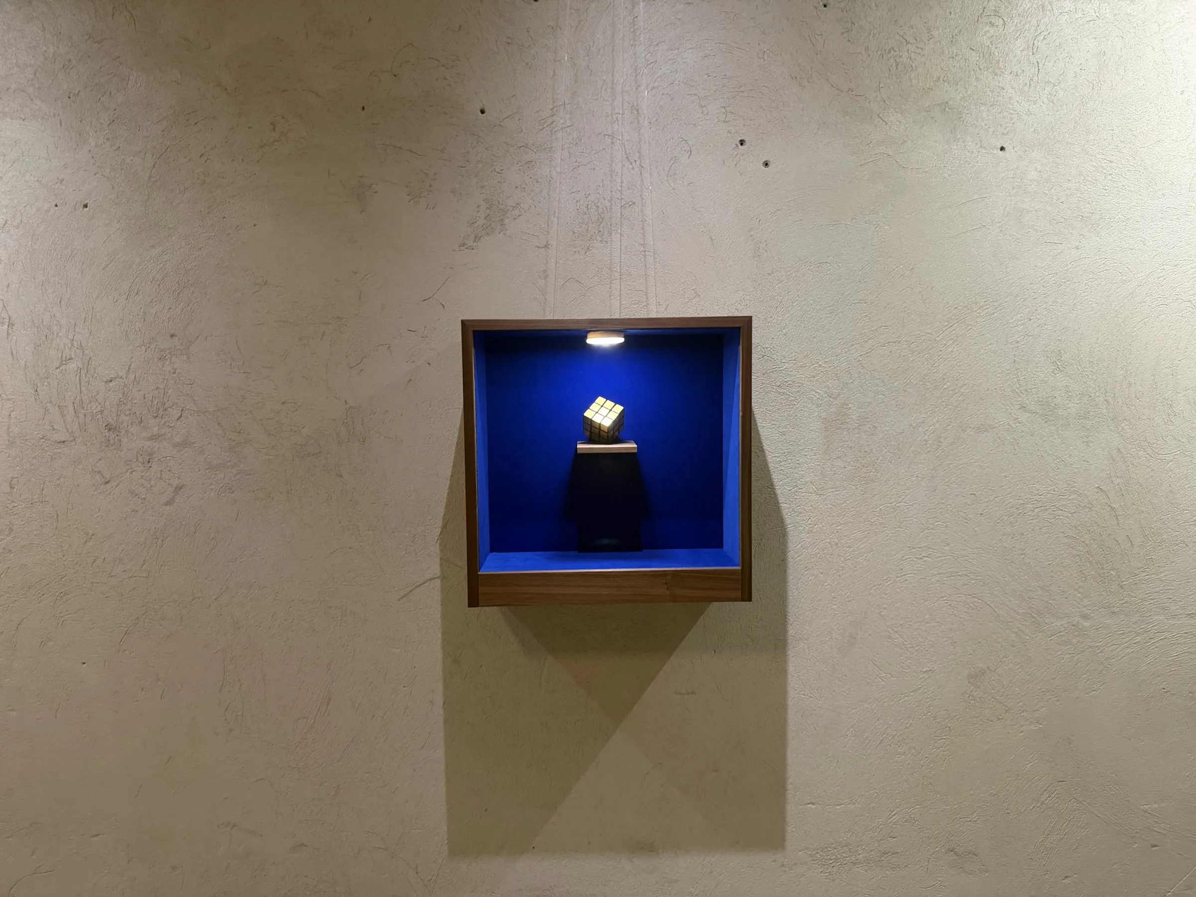 Vitrine an der hellen Wand