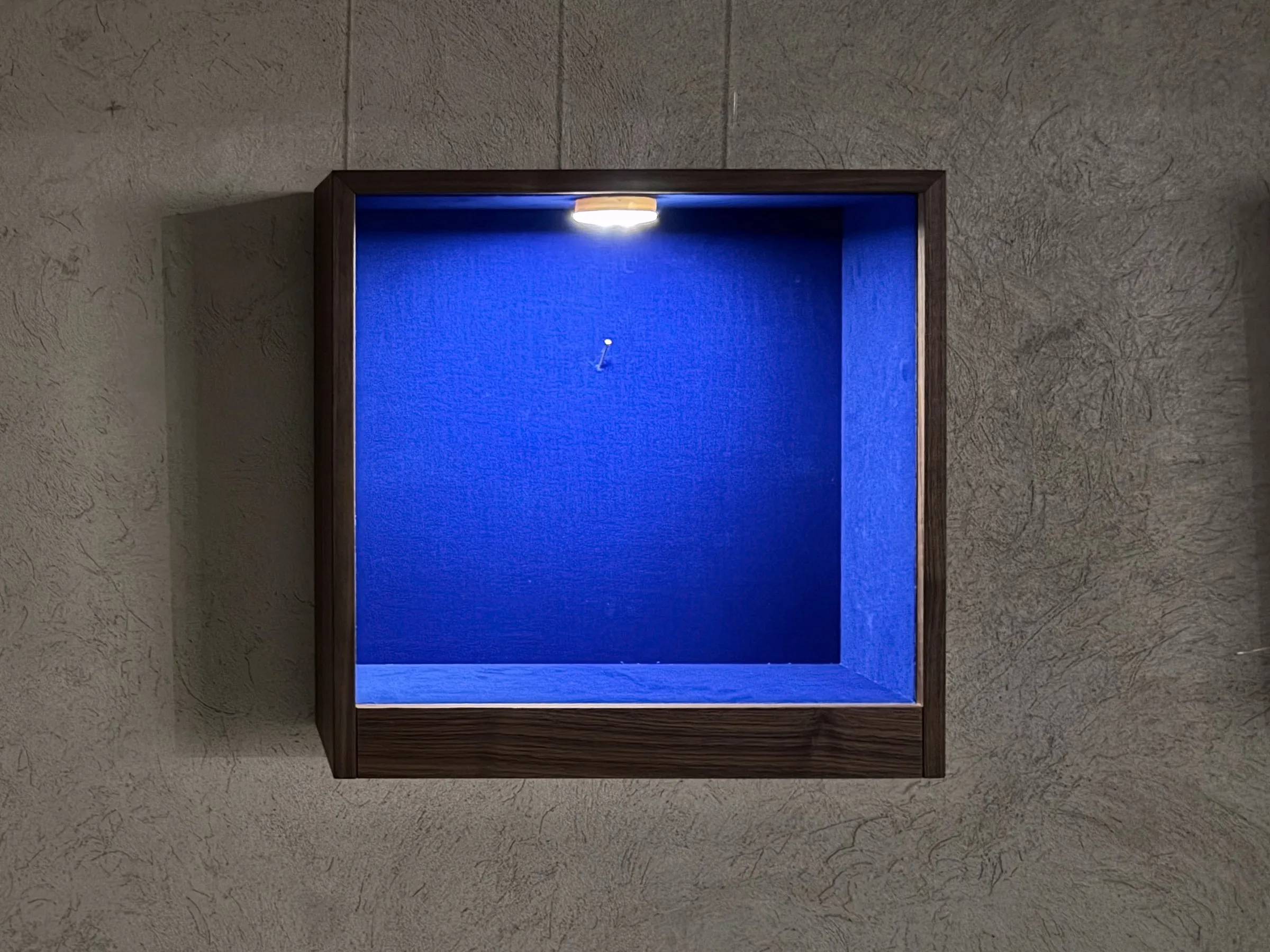 Vitrine mit einem einzelnen goldenen Nagel im blauen Samt