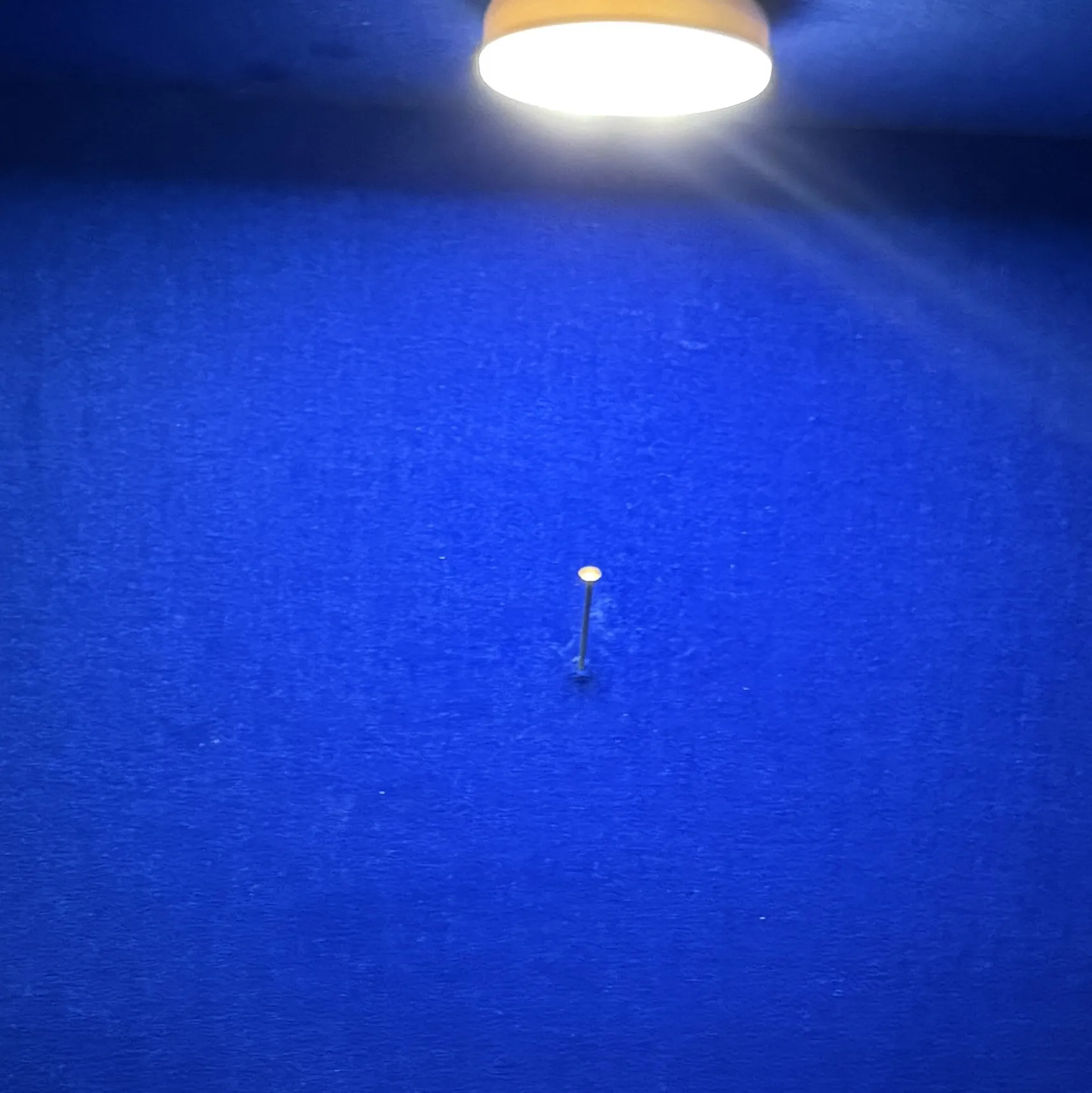 Der goldene Nagel im blauen Samt, Ausschnitt
