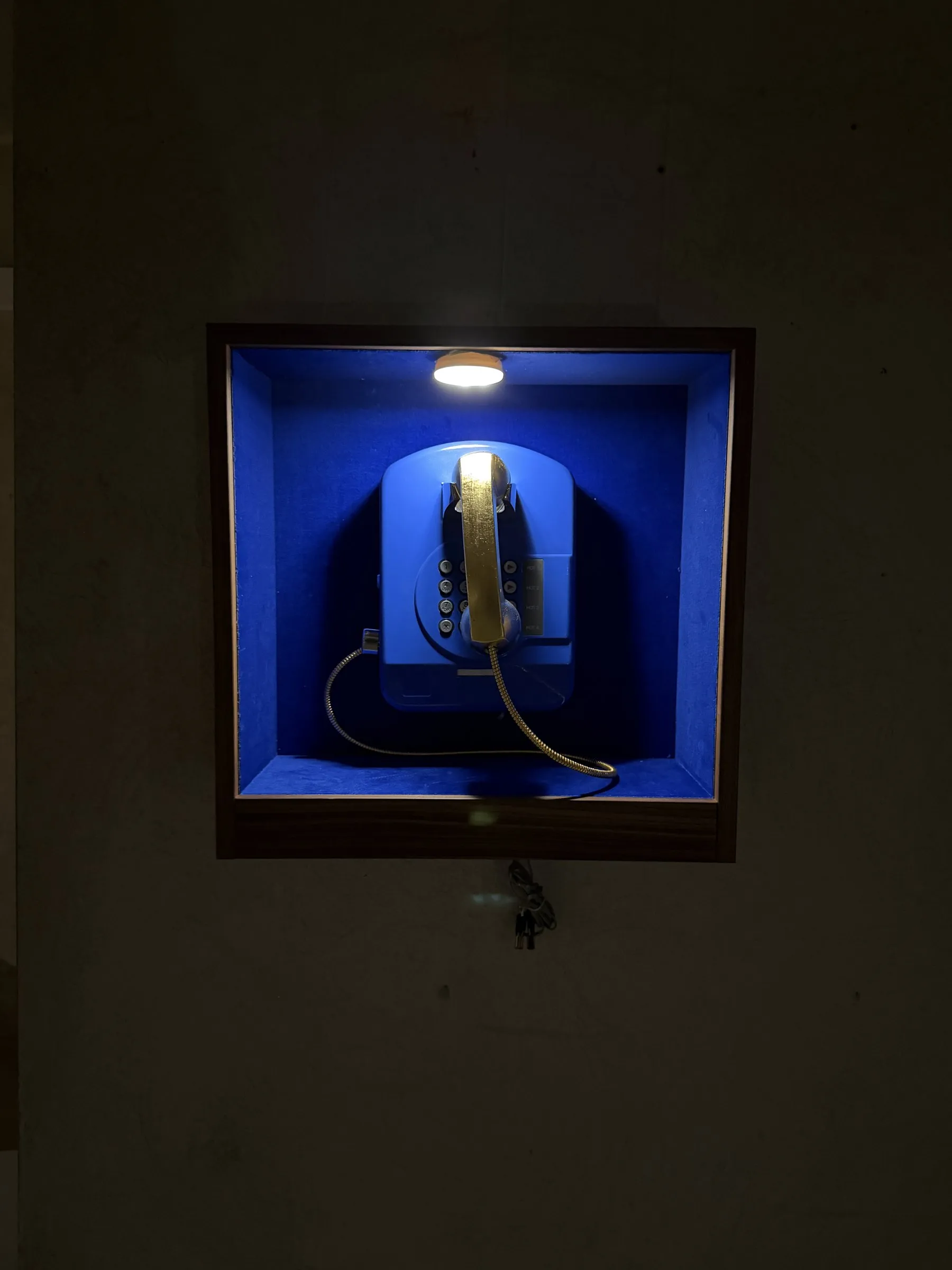 Beleuchtete Vitrine im dunklen Raum